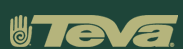 Teva Sandals